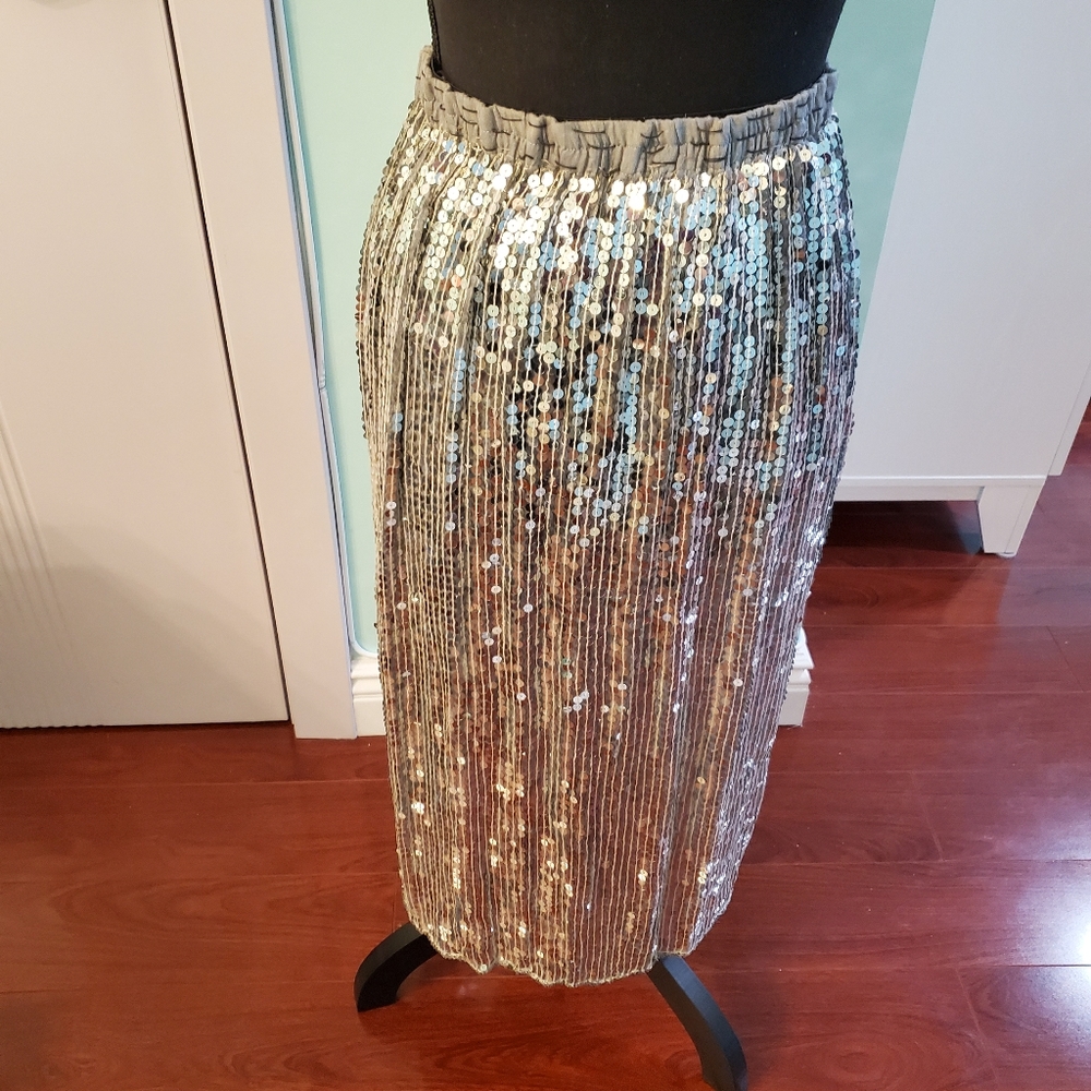 Beautiful All around sparkly skirt- Mint condition